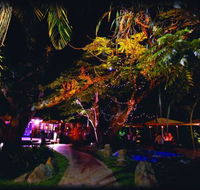 Poinciana - Queensland Tourism