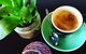 The Patch Cafe - thumb 0