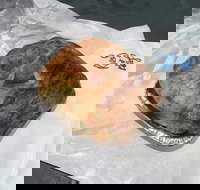 Country Kitchen Gourmet Pies - Queensland Tourism