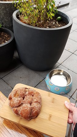 Doughnut Department - QLD Tourism 0