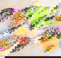 HiPoke Kirra - QLD Tourism