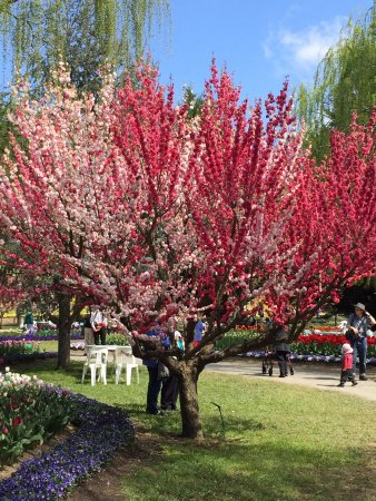 Ngunnawal ACT Queensland Tourism