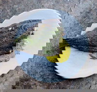 Pilot. - Queensland Tourism