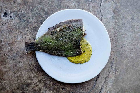 Pilot. - Queensland Tourism 0