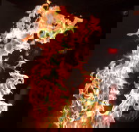 Shin Sen Teppanyaki Restaurant - Queensland Tourism