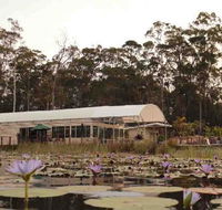 Abundance Cafe and Garden Centre - Queensland Tourism
