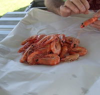 Ballina Fishermen's Co-op - QLD Tourism