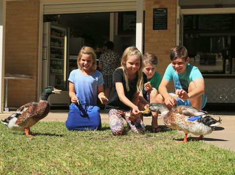 Arkarra Gardens Cafe And Restaurant - Queensland Tourism 2