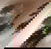 Dai Nam Cafe  Restaurant - Queensland Tourism