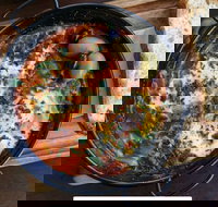 Shuk - Elizabeth Bay - Queensland Tourism