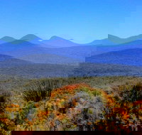 Arcadia Wines - QLD Tourism