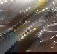 Gilbert's Winery and Cafe - QLD Tourism