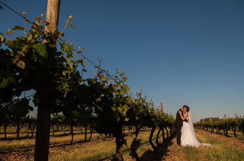 Monichino Wines - Queensland Tourism 1