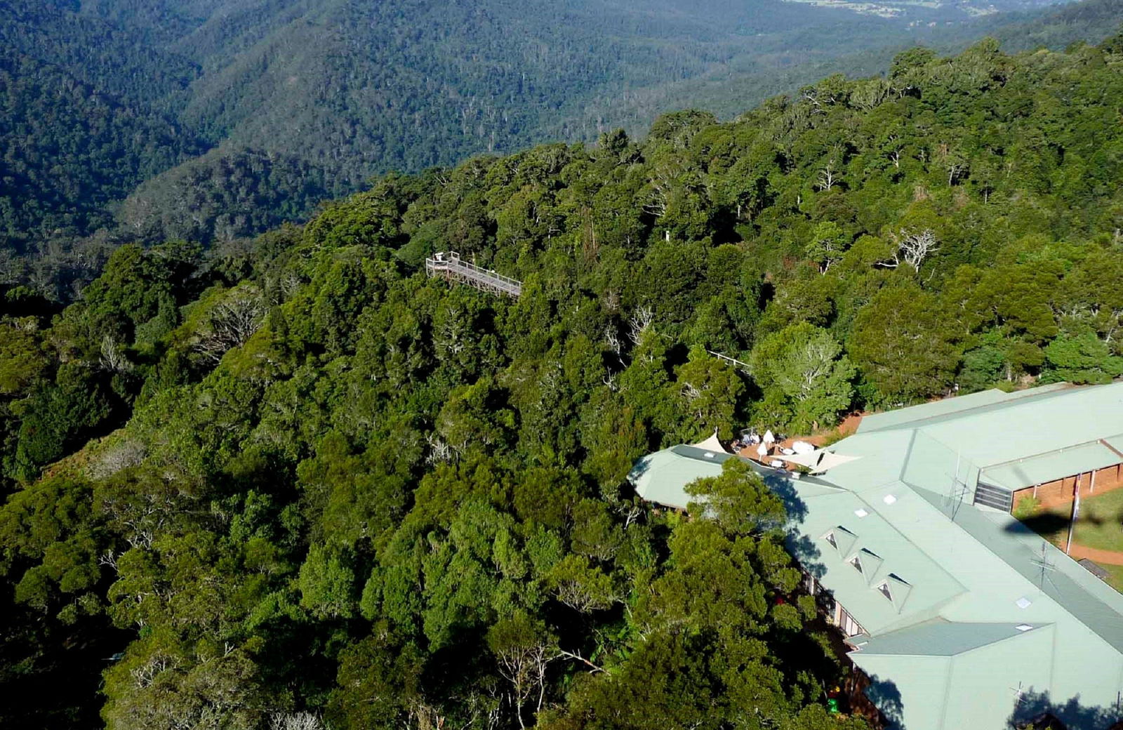 Dorrigo Mountain NSW Queensland Tourism