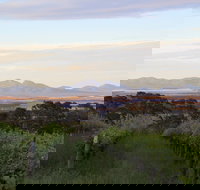 Castle Rock Estate Winery - QLD Tourism