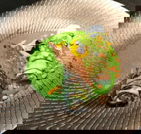 Fireplace - QLD Tourism