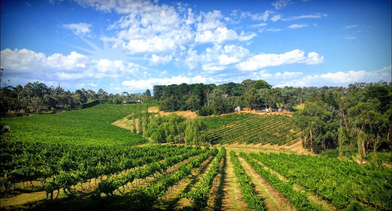 Wonga Park VIC Queensland Tourism