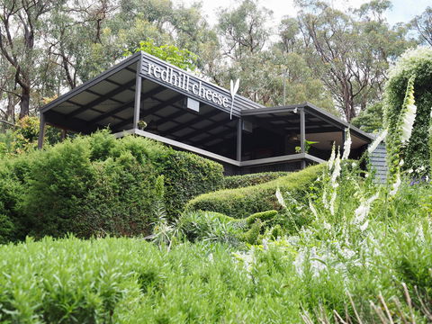 Red Hill Cheese - Queensland Tourism 2