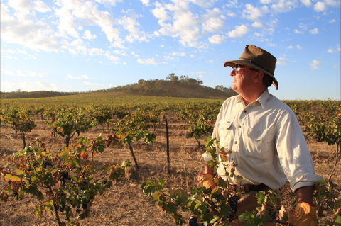 Sally's Paddock At Redbank Winery - Queensland Tourism 2