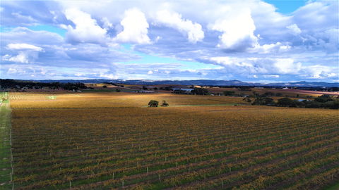 Schubert Estate - Queensland Tourism 0