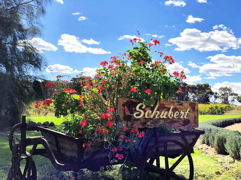 Schubert Estate - Queensland Tourism 2