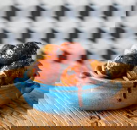 The Yiros Shop - Cannon Hill - Queensland Tourism