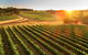 Leeuwin Estate - thumb 1