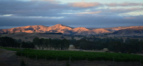 Sedona Estate - QLD Tourism 0