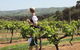 Sedona Estate - thumb 1