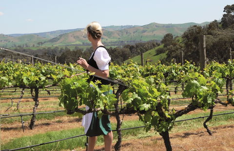 Sedona Estate - QLD Tourism 1