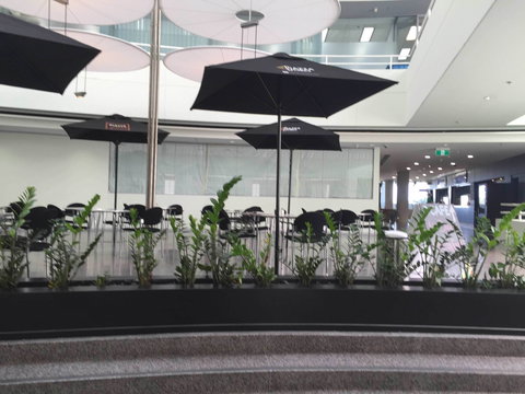 D Cafe - Queensland Tourism 0