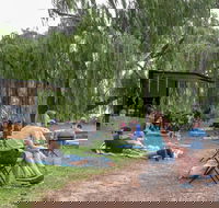 The Pop Inn by Wine Bar Co. - Queensland Tourism