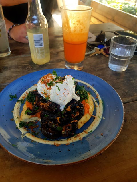 Mister Sunshine's - Queensland Tourism 6