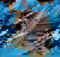 Cafe Buenta - Queensland Tourism