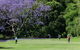 Kiama Golf Club - thumb 2