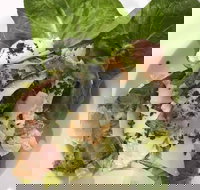 Ryan's Gourmet Kitchen - Queensland Tourism