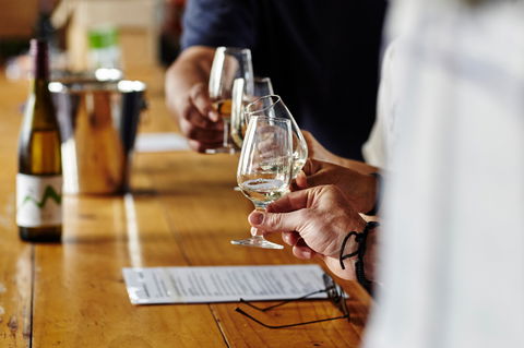 The Gurdies - Queensland Tourism 1