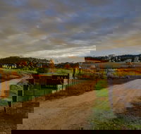 Baarmutha Wines - Queensland Tourism