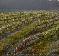 Cape Grace Wines - Queensland Tourism