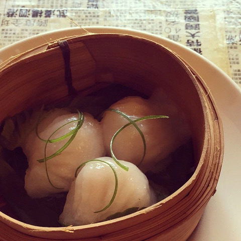 Dumplings & Beer - Potts Point - QLD Tourism 0