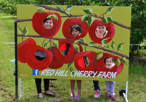 Red Hill Cherry Farm - Queensland Tourism 1
