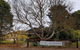 Top Note Vineyard - thumb 0