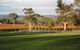 Top Note Vineyard - thumb 1