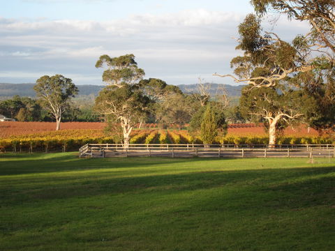 Top Note Vineyard - Queensland Tourism 1