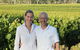Top Note Vineyard - thumb 2