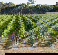 Weathercraft Wines - Queensland Tourism