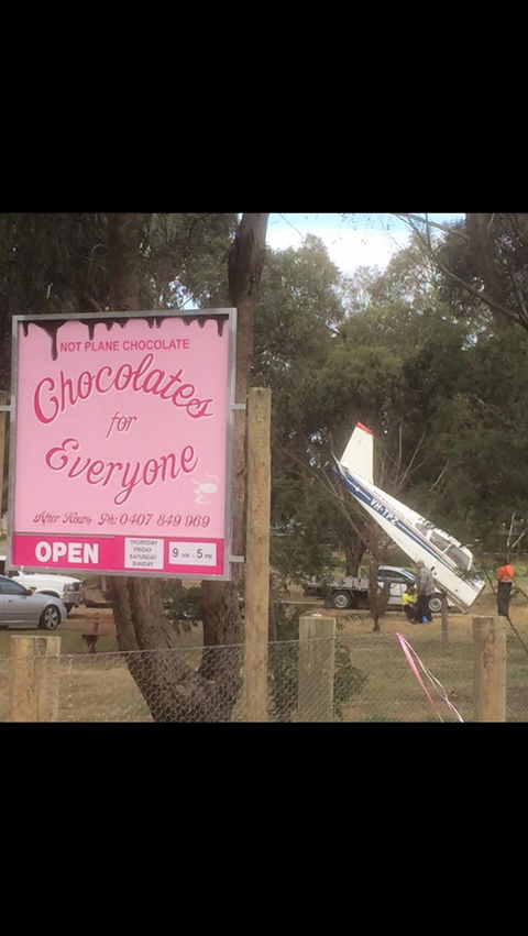Chocolates For Everyone - QLD Tourism 1