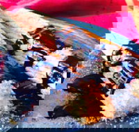 Donut King - Frankston - Queensland Tourism