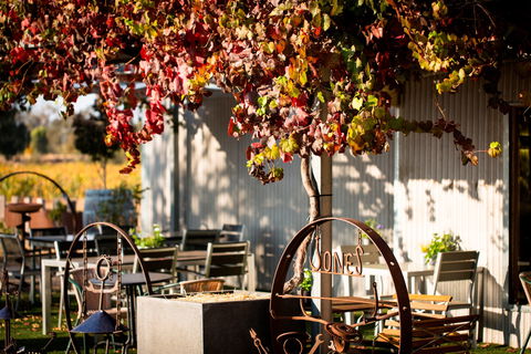 Jones Winery & Vineyard - Queensland Tourism 0