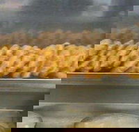 Stirling Village Fish  Chips - Queensland Tourism